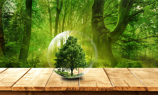 96a41cf4-dc5b-4552-9ebd-f055bed41ef4